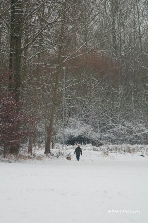 sized_winter-017.jpg