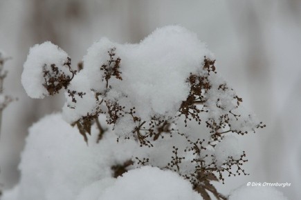 sized_winter-002.jpg