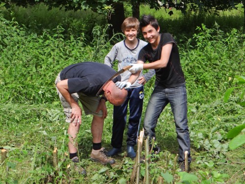 eik 2012-8.jpg