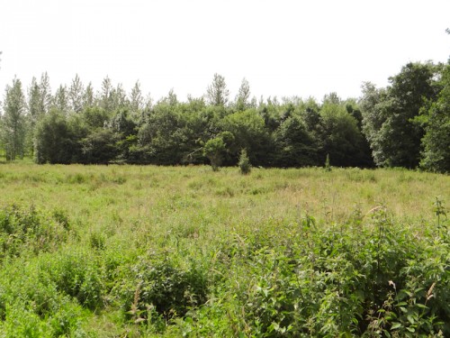 eik 2012-10.jpg