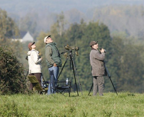 vogeltrek.jpg