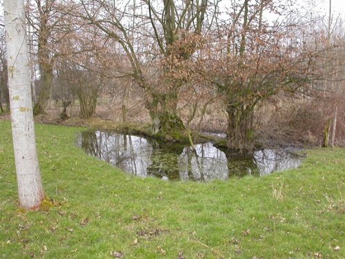 333014 03-05.jpg