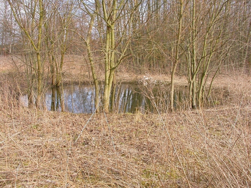 geennummer grote beemd ocmw 03-05.jpg