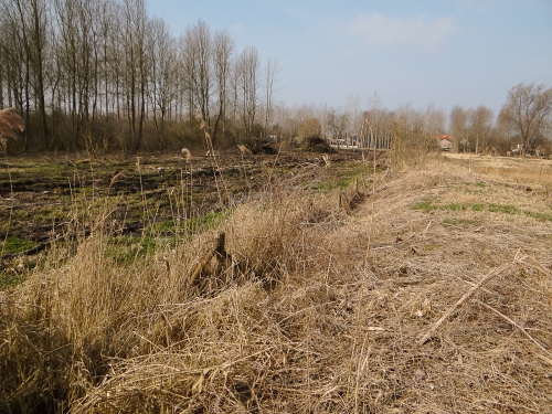 broekbeemd0001-2.jpg