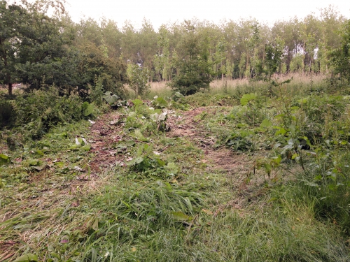 maaiwerken0001.jpg