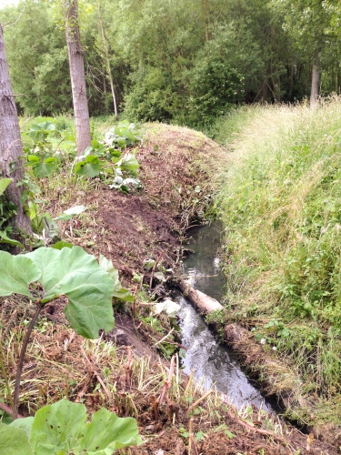 maaiwerken0001-2.jpg