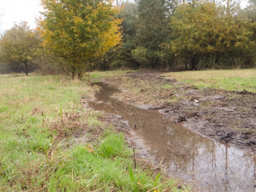 herfst0001-3.jpg