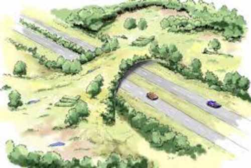 ecoduct0001.jpg