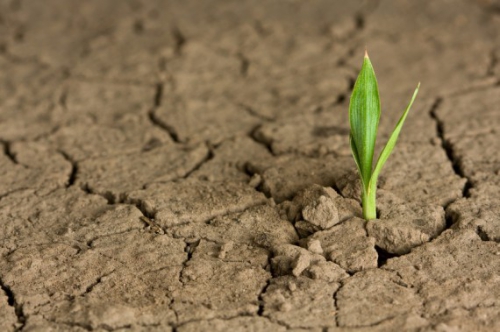 Hope-2-570x379.jpg