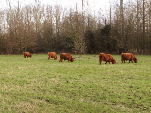 lente 20160001-5.jpg