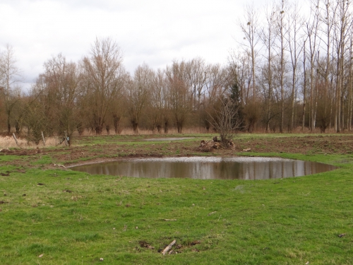lente 20160001-8.jpg