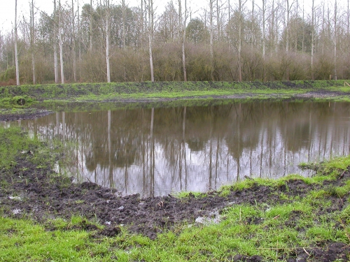 2006 11-4 kalkmoeras.jpg