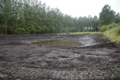 2006 08-3 kalkmoeras.jpg