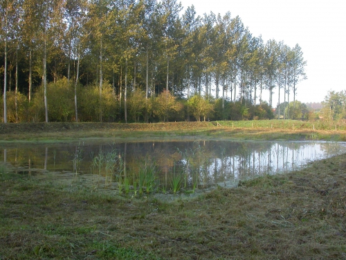 2007 09-2 kalkmoeras.JPG