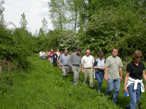 wandeling5.jpg