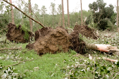storm0001.jpg