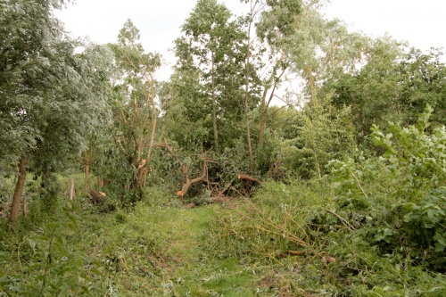 storm0001-12.jpg