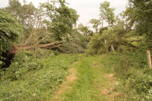 storm0001-4.jpg