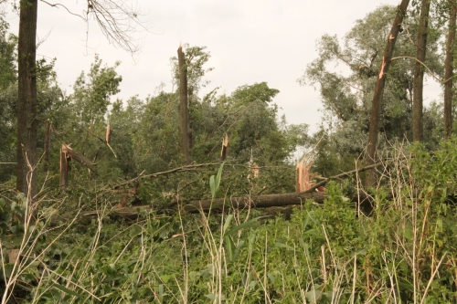 storm0001-8.jpg