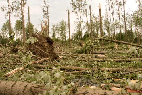 storm0001-3.jpg