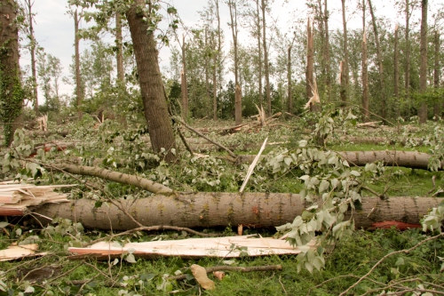 storm0001-2.jpg