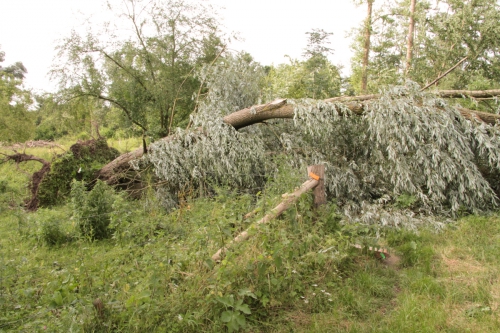 storm0001-10.jpg