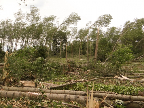  storm blog juli0001-2.jpg