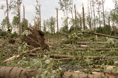  storm blog juli0001.jpg