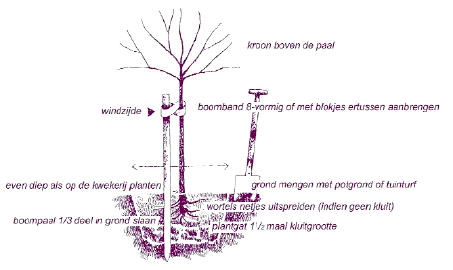 plantinstructies.jpg