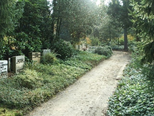 full_Begraafplaats-Tjoenerhof-in-Diepenveen.jpg