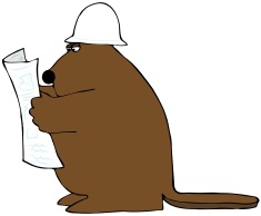 stock-illustration-11605184-beaver-reading-blueprints.jpg