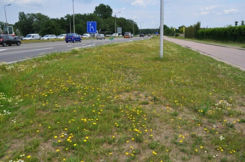 Berm202.JPG