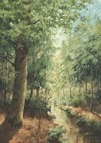 back-landschap.jpg