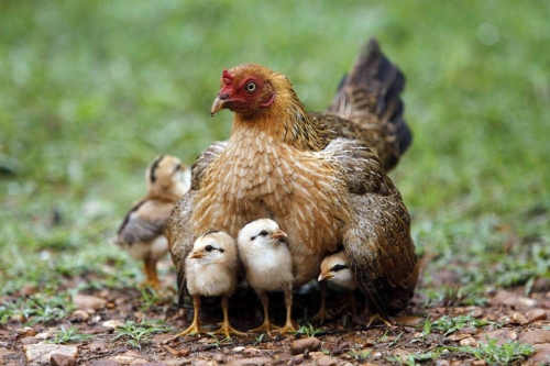 June-23-2012-14-31-18-sgfsg.jpg