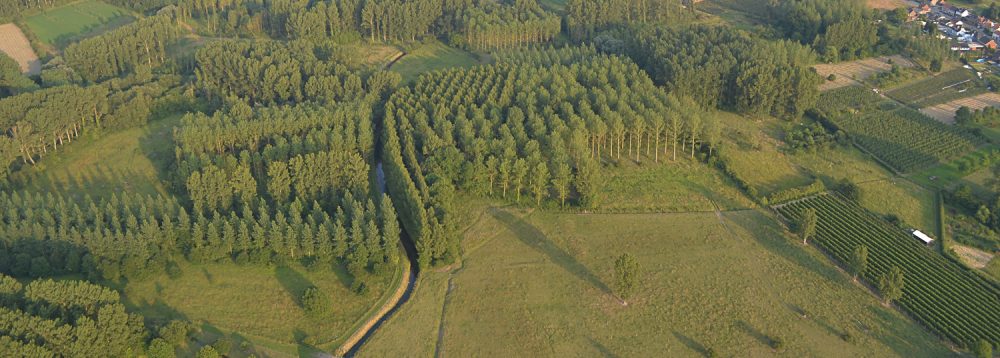 Natuurvereniging 't Bokje Wellen