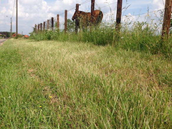 berm0001