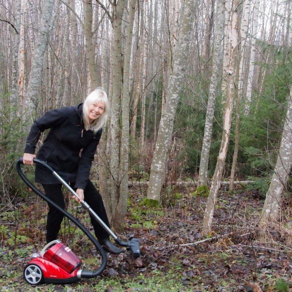 rake