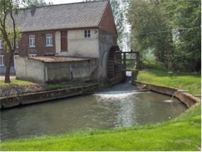 kolk